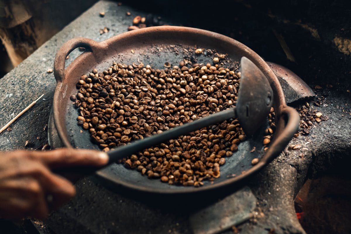 Bulk Brazilian Green Coffee Beans, Direct From Source