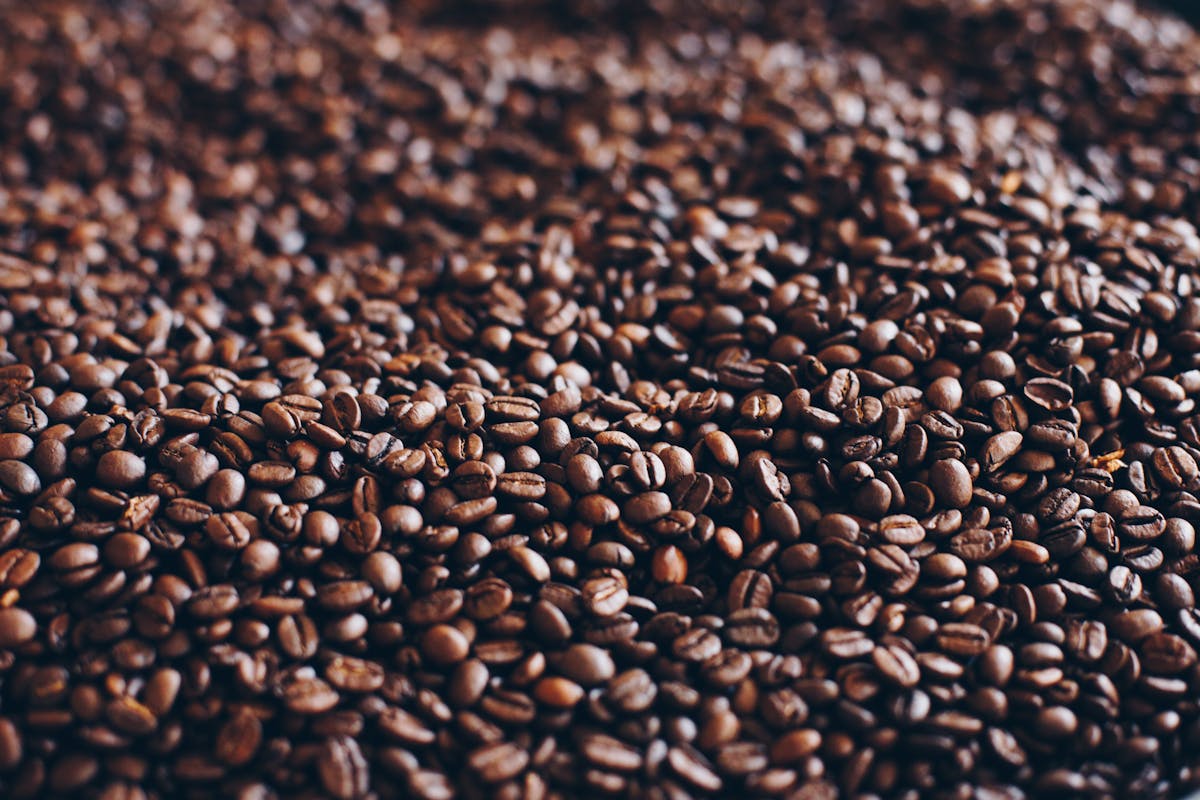 Rooted in Brazil's Finest Growing Regions