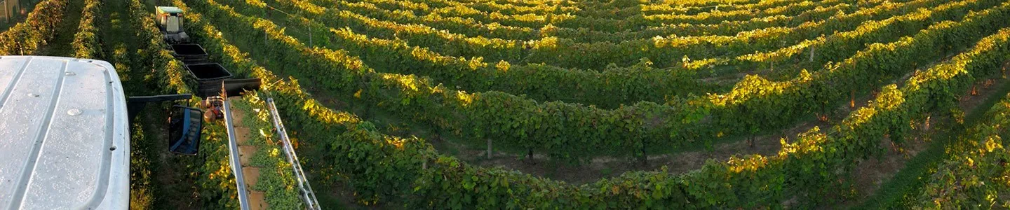 Sustainability Commitment